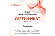 О вручении сертификата «Лидер тендерных продаж» 2025 в Братске О вручении сертификата «Лидер тендерных продаж» 2025 в Братске